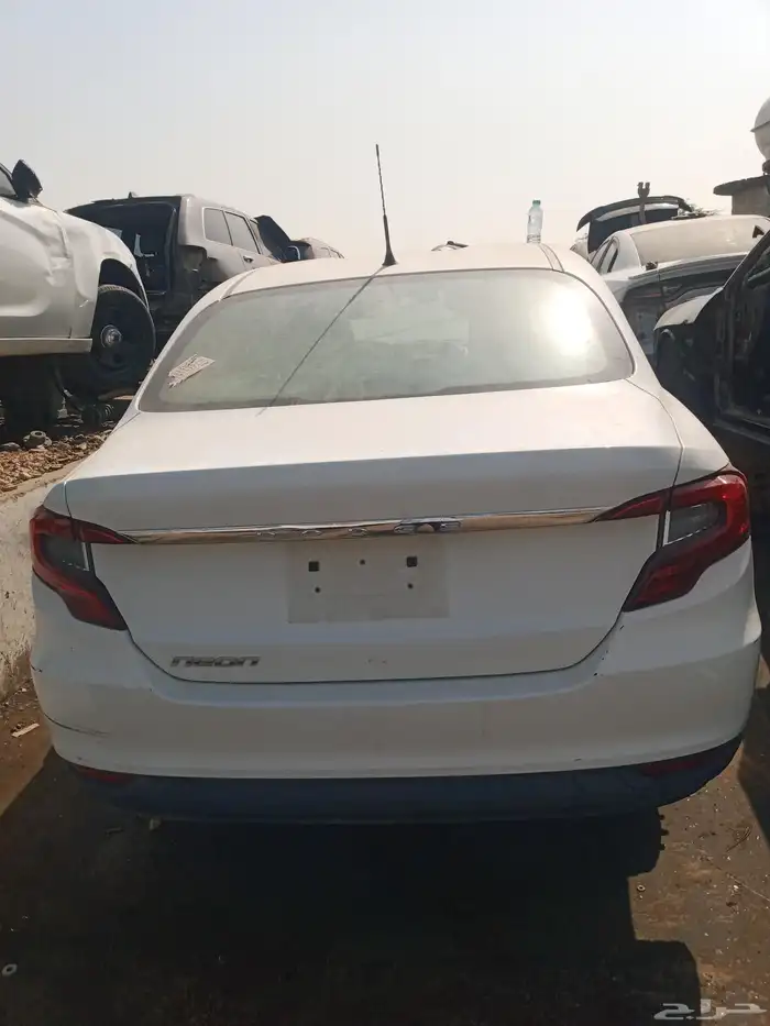 دوج نيون 2018 0