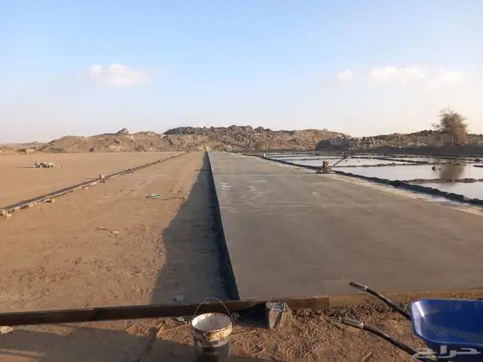 صبات ميول صبه ميول طبطبه تجديد صبات 9