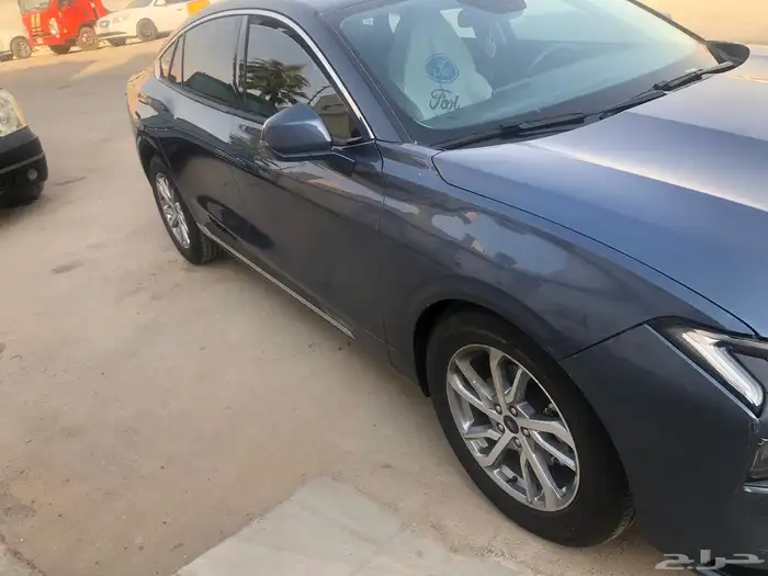 تورس ستاندر 2024 5