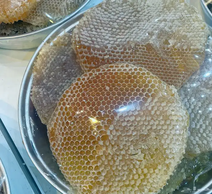 عسل سدره وسمره وطلح وضهيانه وقتادة وغذاء المكات اصلي ومضمون 3