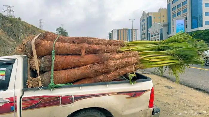 الرياض الدوادمي البجاديه عفيف الجمش التوصل 7