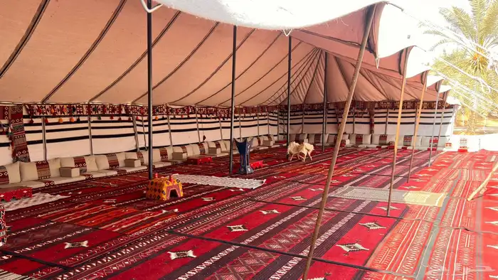 تاجير خيام بيوت شعر 2