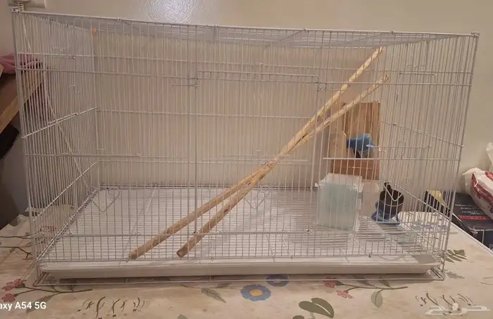 أثاث مطبخ قارورة 10