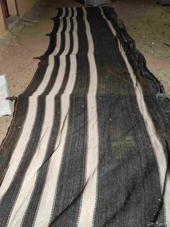 بيت شعر. نظيف 8