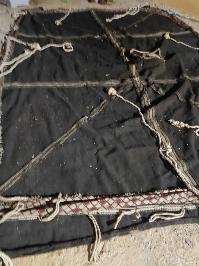 بيت شعر. نظيف 4