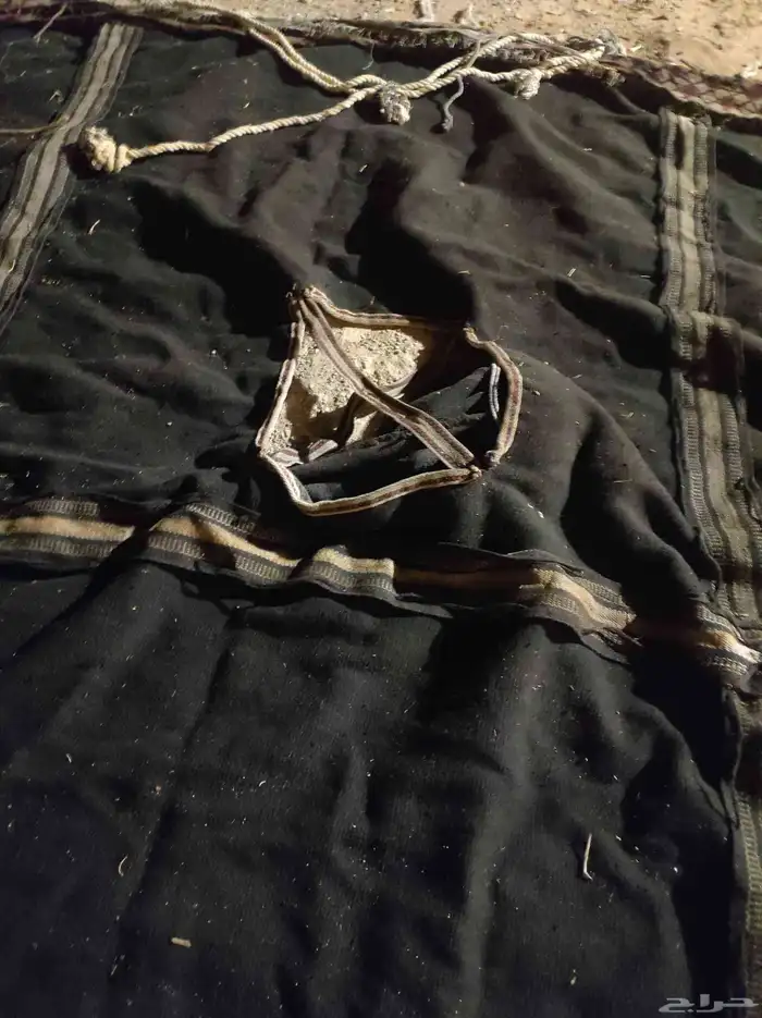 بيت شعر. نظيف 0