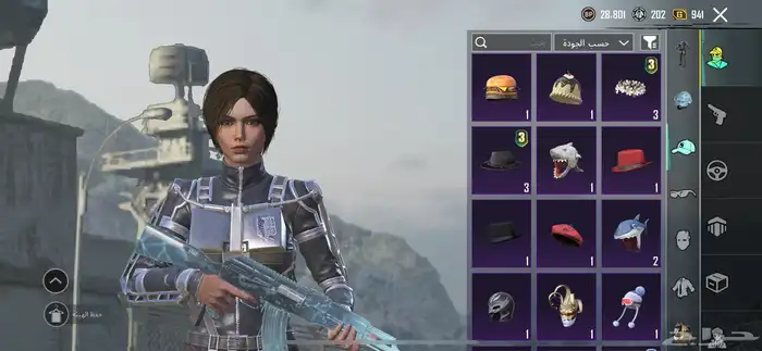 حساب ببجي قوي 17