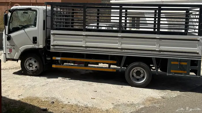 دينا البيع 6