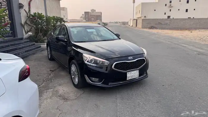 كادينزا 2015 4