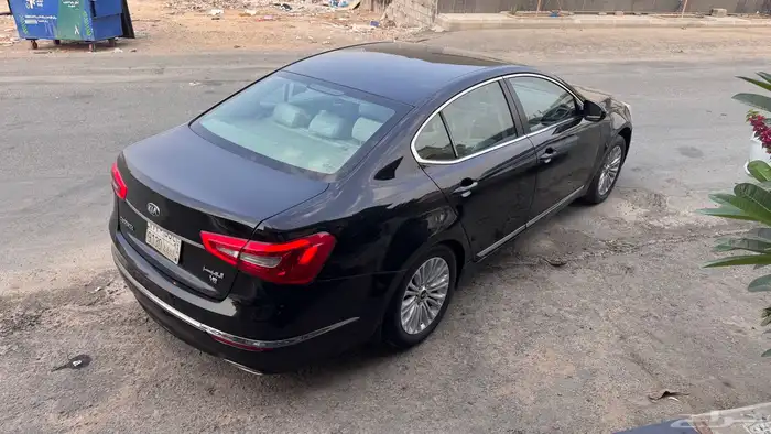 كادينزا 2015 3