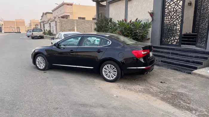 كادينزا 2015 0