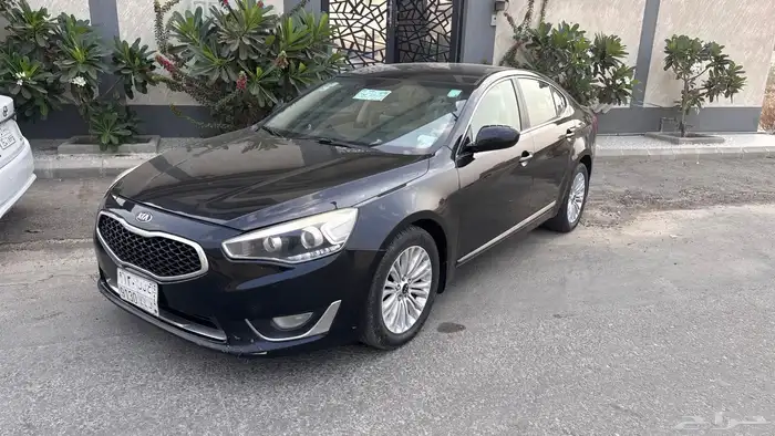 كادينزا 2015 6