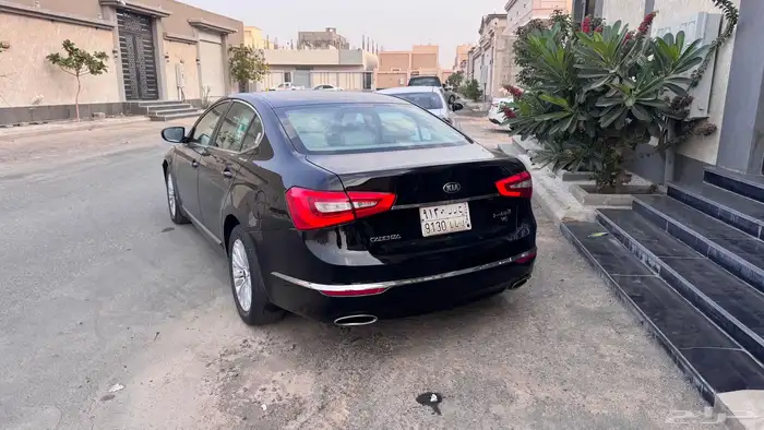 كادينزا 2015 1