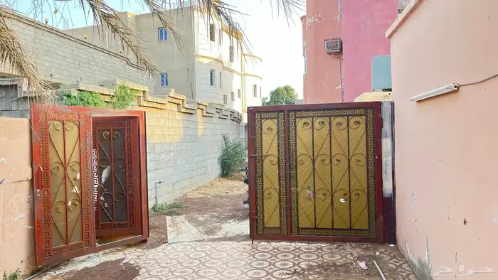 باب لا يجي إلا الصادق 0