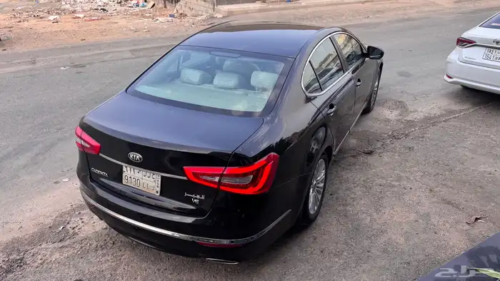 كادينزا 2015 2