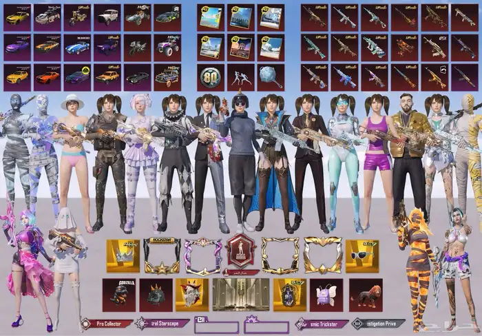 حساب ببجي ميثيك 246 والذهبي 27 وخوذة موميا والتاج 0