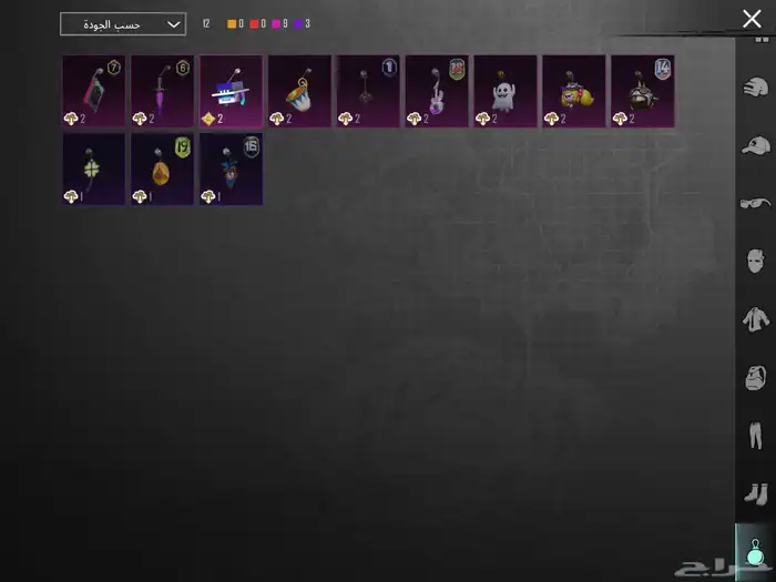 حساب ببجي للبيع 12