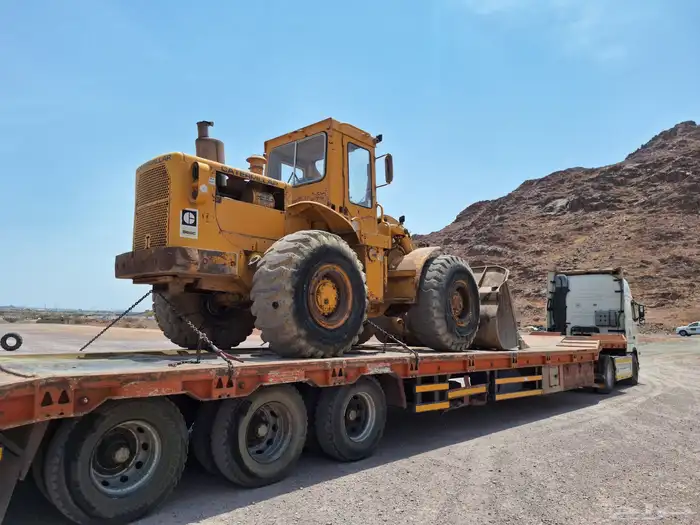 لوبد في تيماء تبوك 0