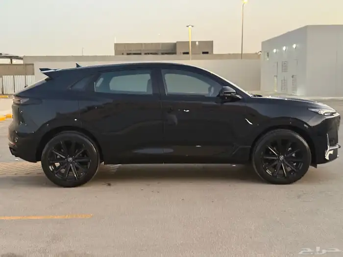 شانجان (( UNK مخزن ممشى قلبل جدا )) 2