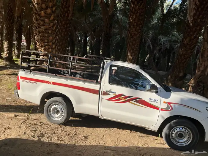 قلع وتوريد جميع انواع النخيل صغري برني شكل وتوصيل 9