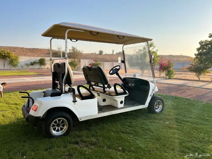 قولف كار 2019 عربة كهربائية 4 اشخاص 7