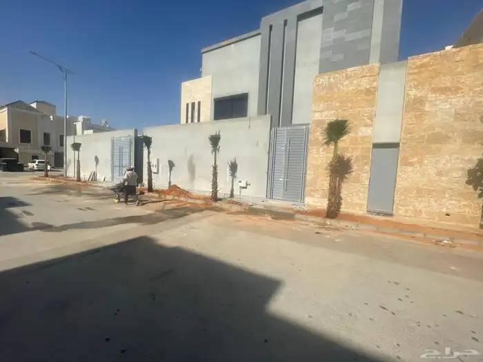 نخيل واشنطونيا للبيع 12