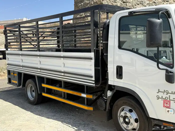 دينا البيع 8