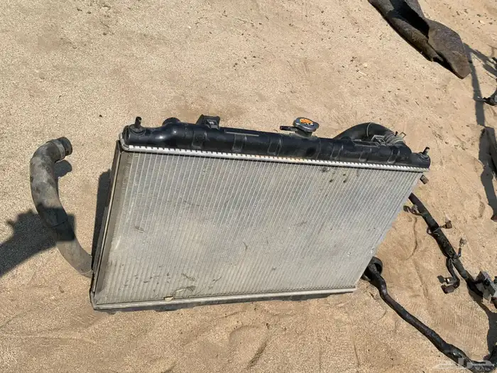 للبيع مكسيما 31