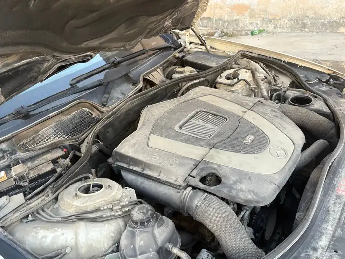 مرسدس جفالي 15