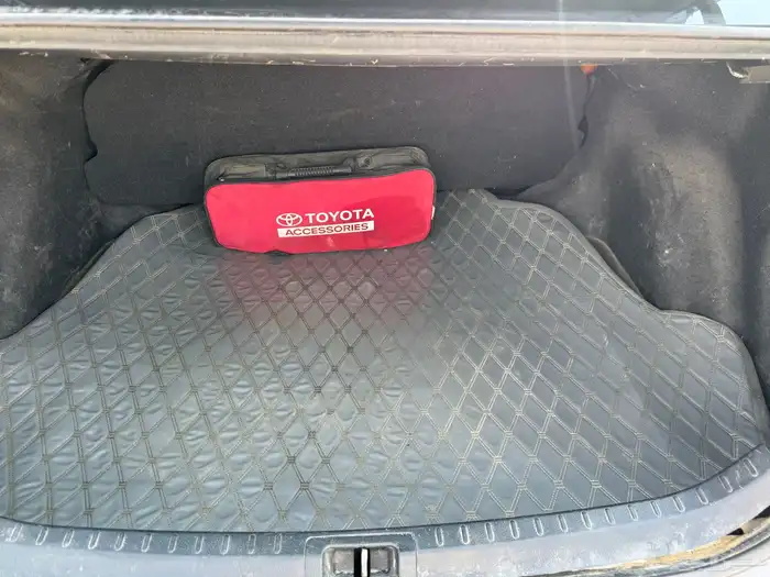 كورولا 2019 14