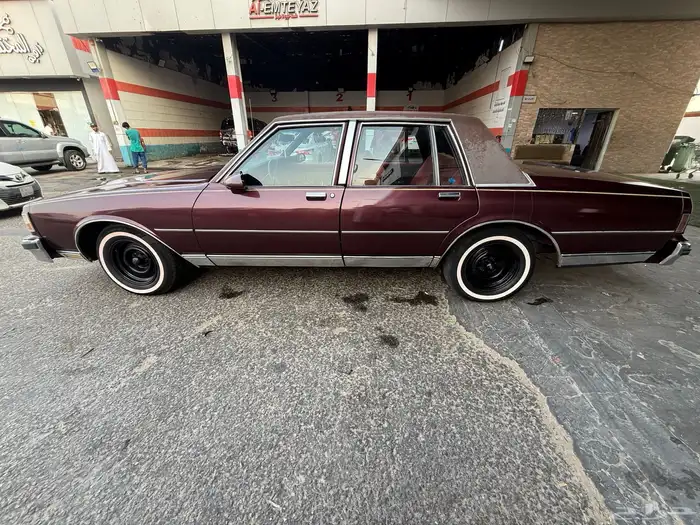 كابرس 89 عنابي 5