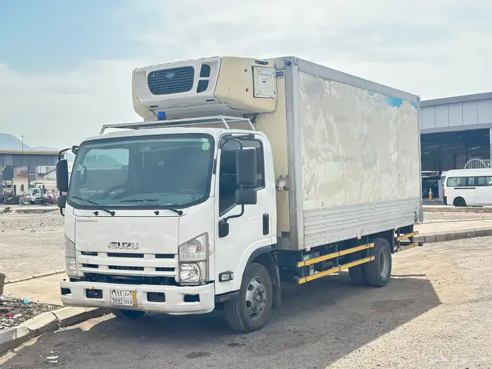 دينا ثلاجه تبريد وتجميد 2015 0