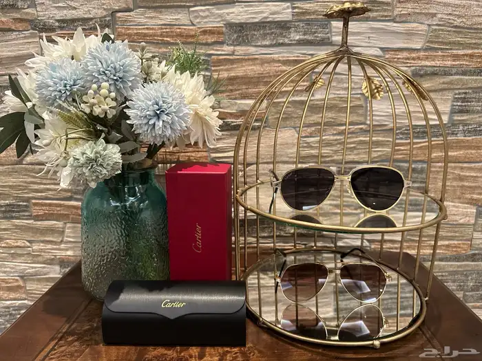 نظارة كارتير 0