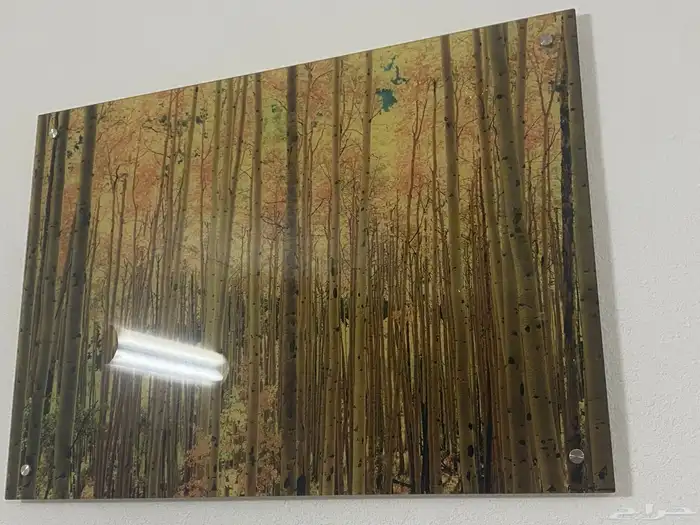 اثاث كنبات وطاولة طعام 11