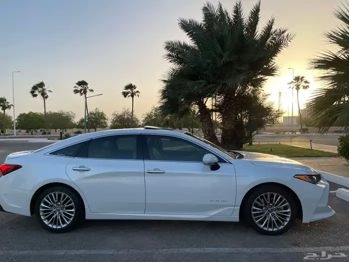 أفالون بريميوم ( مخزن ) 54