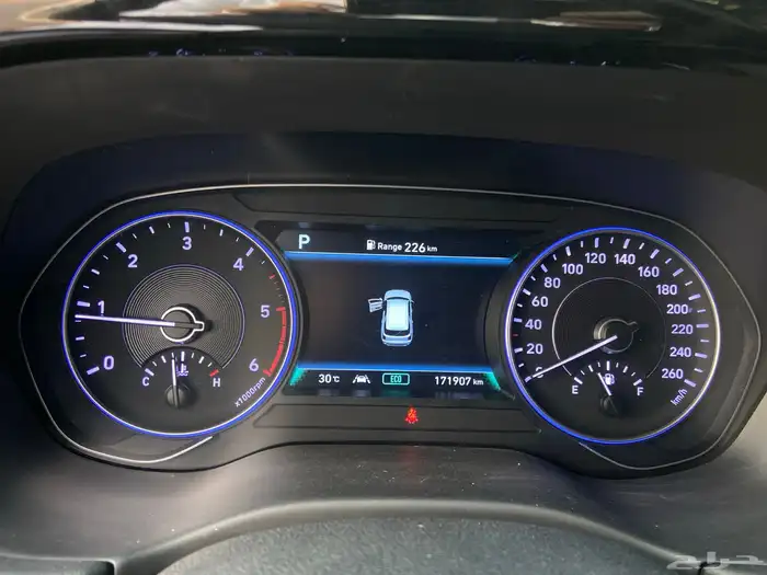 باليسيد 2020 ( ديزل ) 15