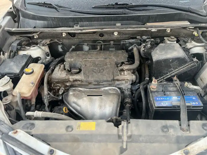 راف فور 2013 10