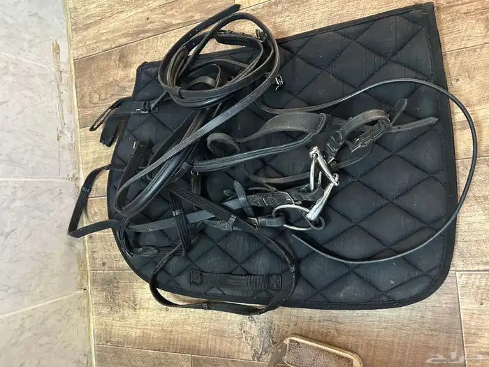 سرج ستيتوس 9