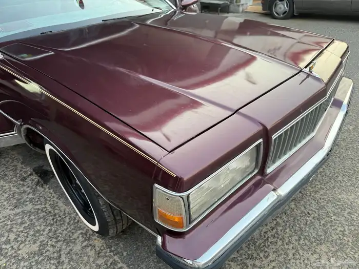 كابرس 89 عنابي 1