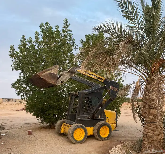 بوبكات بوب كات حواس 0