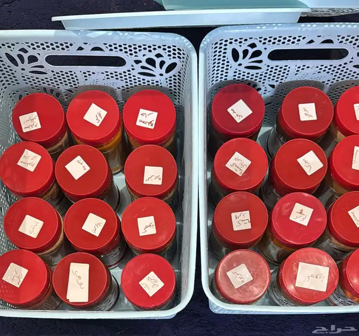 بوكسات 12 شكل من بهارات حايل 0