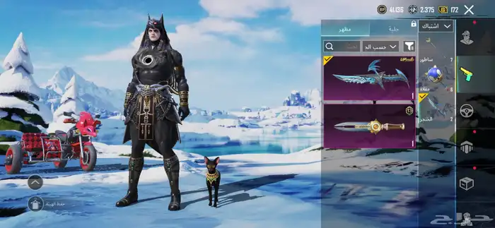 حساب ببجي للبيع لفل 63 64