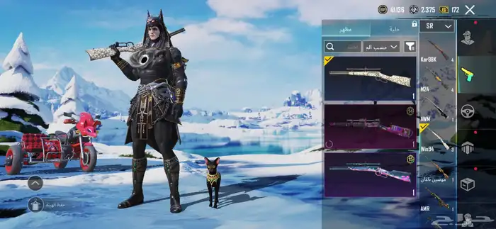 حساب ببجي للبيع لفل 63 28