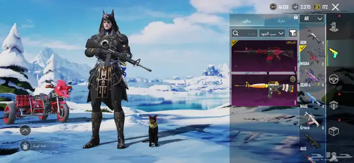 حساب ببجي للبيع لفل 63 14