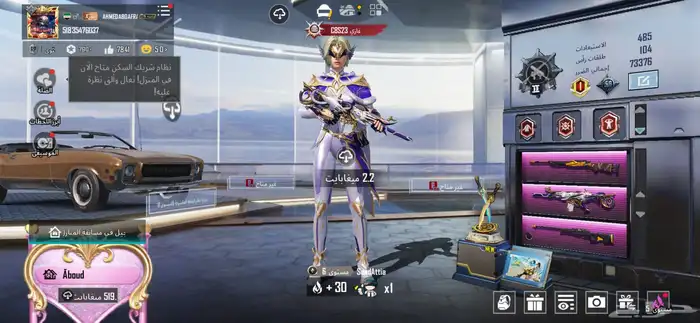 حساب ببجي نادر رخيص 12