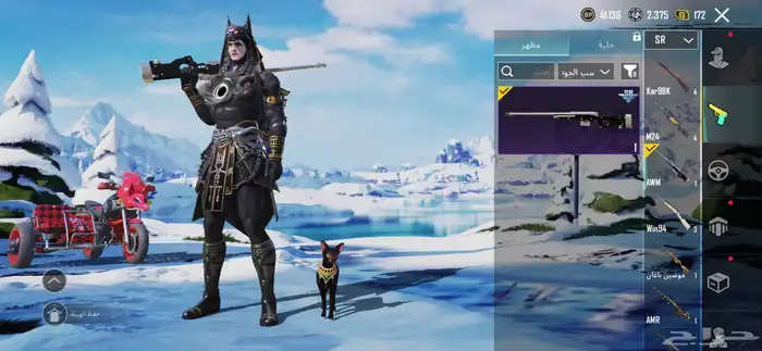 حساب ببجي للبيع لفل 63 26