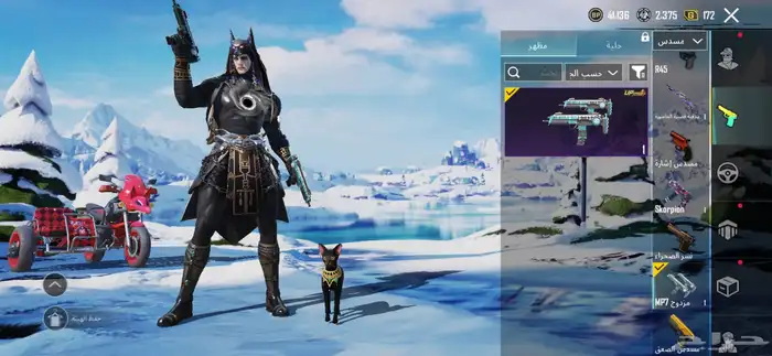 حساب ببجي للبيع لفل 63 59