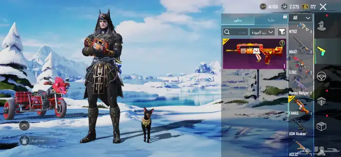 حساب ببجي للبيع لفل 63 22