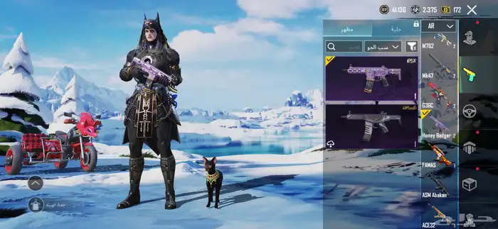 حساب ببجي للبيع لفل 63 21