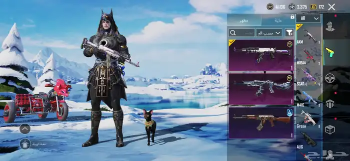 حساب ببجي للبيع لفل 63 13